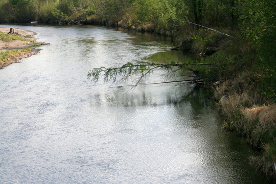 林间河水 天然圣水