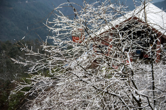 洪雅瓦屋山国家森林公园