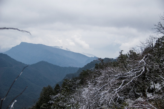 洪雅瓦屋山原始森林