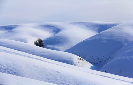 雪原 雪景