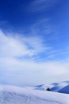 雪域天空