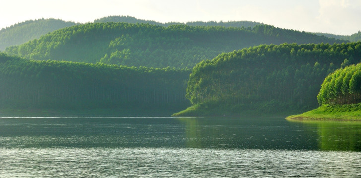 青山绿水