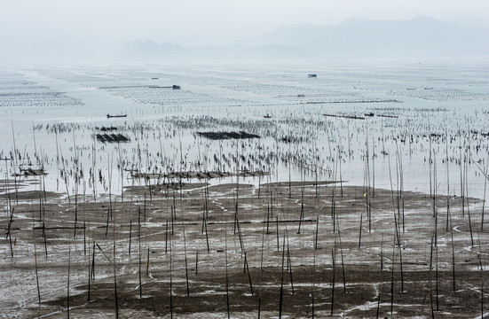 水墨滩涂