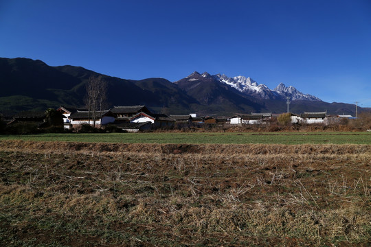 田野 雪山