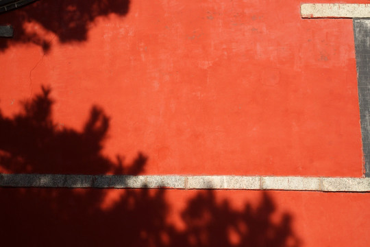 红墙 树影