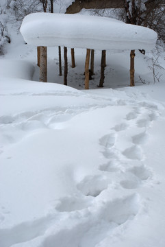 风雪天山路