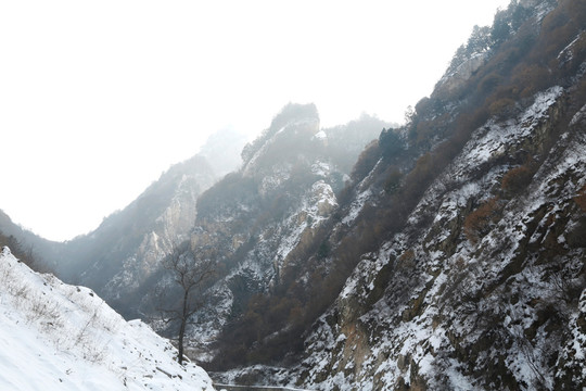 雪景
