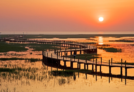夕阳 落日 湿地 红海滩