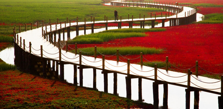 红海滩国家风景廊道