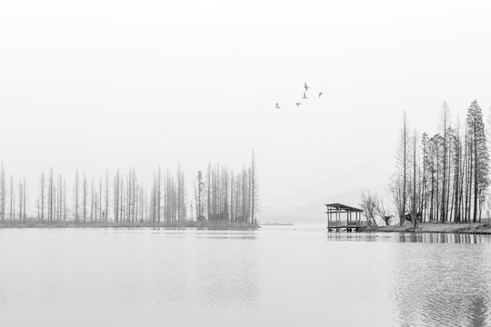 湘湖 冬梦
