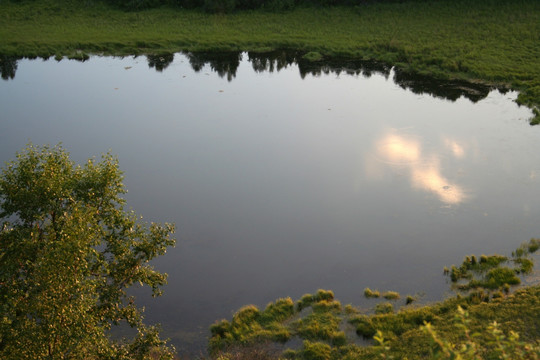 天然圣水 自然沼泽湿地