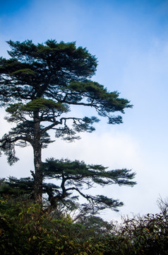 山水风景