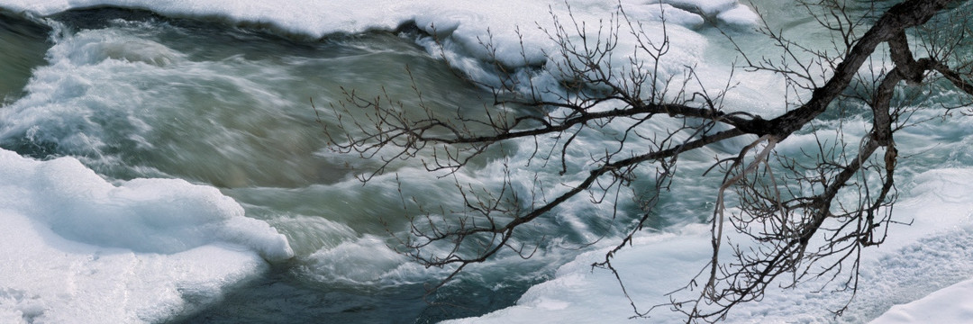 枯树枝和冬天的冰河