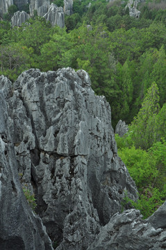 石林景区