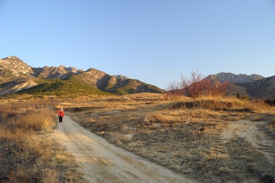 田间小路