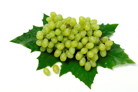 葡萄 绿色葡萄 甜葡萄 水果