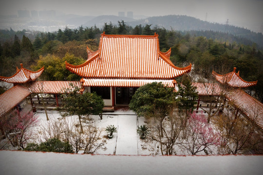 公园雪景