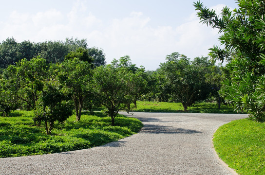 西双版纳热带植物园