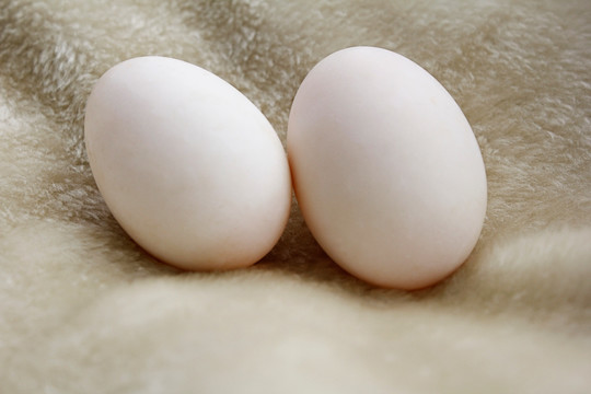 2个鸭蛋