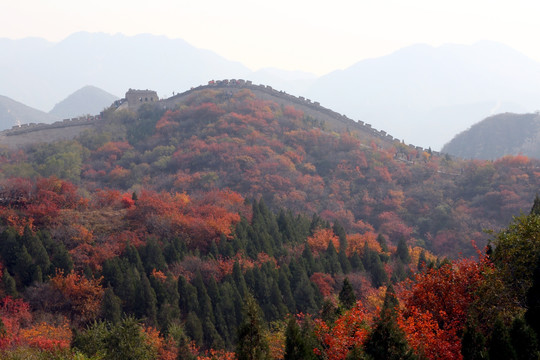 北京八达岭森林公园