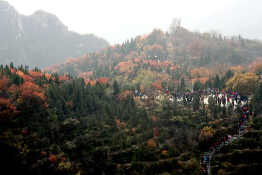 北京八达岭森林公园