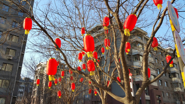 春节园区内挂的红灯笼