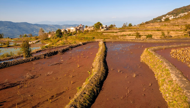 龙树坝梯田