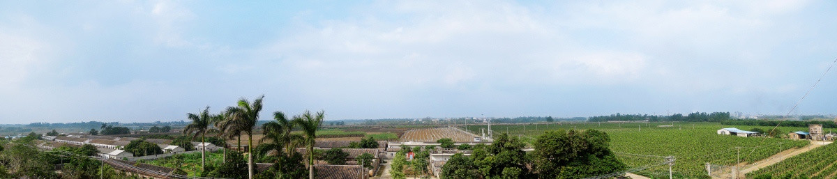 粤西农村全景图