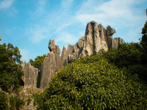 石林 风景