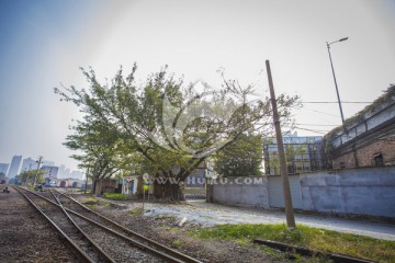 广州石围塘 铁路