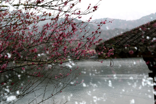 梦幻水边古建筑效果