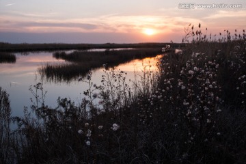 湿地黄昏