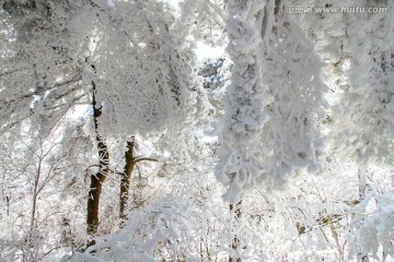 天柱山雪景