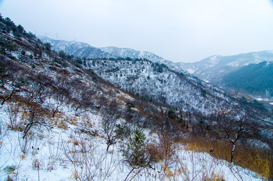 雪山