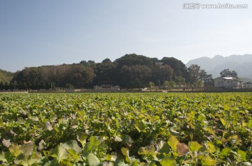 古田会议会址