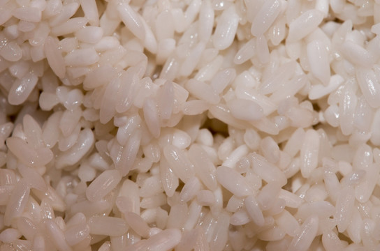 白米的特写