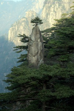 黄山妙笔生花