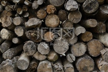 木纹理 木材 木 柴火 深林