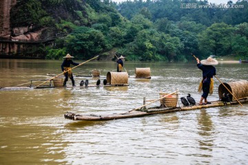 江西龙虎山鱼鹰