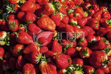 草莓 水果 果蔬
