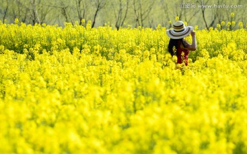 油菜花田里的红衣女郎