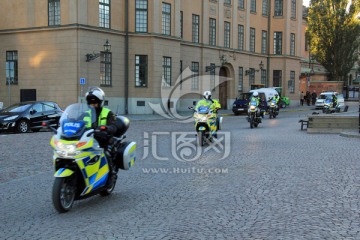 瑞典皇家卫队警察警卫