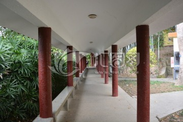 仙湖植物园走廊