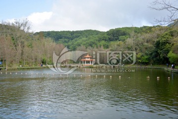 深圳仙湖风景