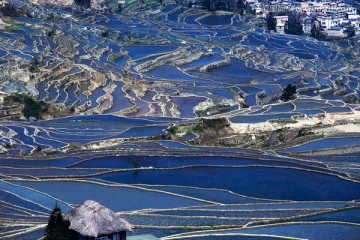 元阳普高老寨梯田