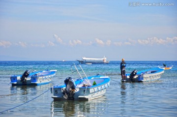 菲律宾海豚湾