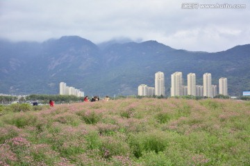 花海公园