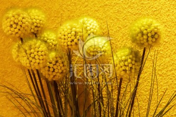 插花