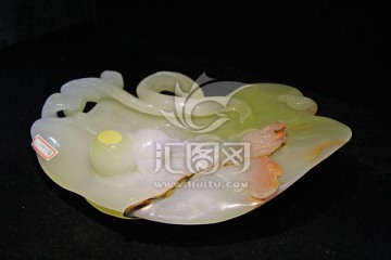 玉盘子花