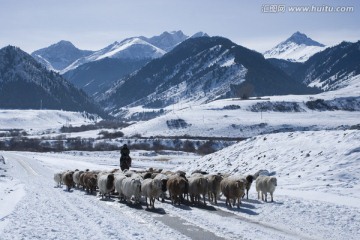 山中牧羊